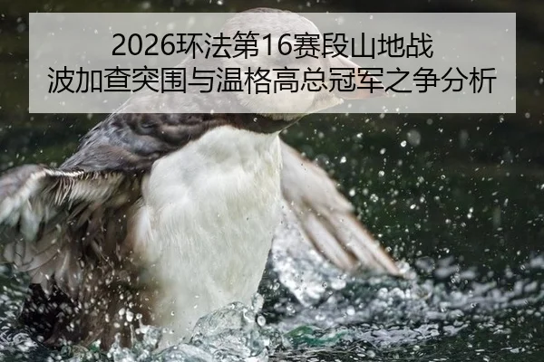 huan-fa-di-sai-duan-shan-di-zhan-bo-jia-cha-tu-wei-yu-wen-ge-gao-zong-guan-jun-zhi-zheng-fen-xi-2-381.jpg