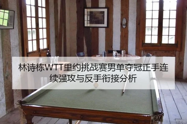 林诗栋WTT里约挑战赛男单夺冠正手连续强攻与反手衔接分析